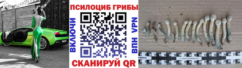 Галлюциногенные грибы ЛСД  ОМГ ОМГ ссылки  Тихорецк  как найти закладки 